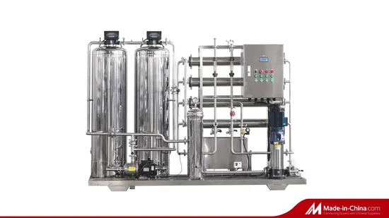 10t/H RO Water Treatment Apparatus